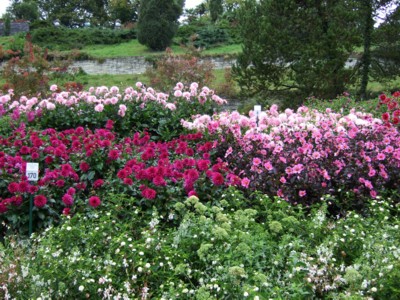 �_���A��