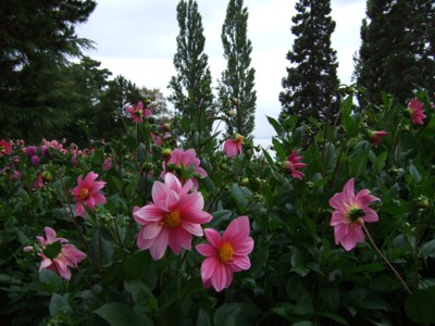 �_���A��