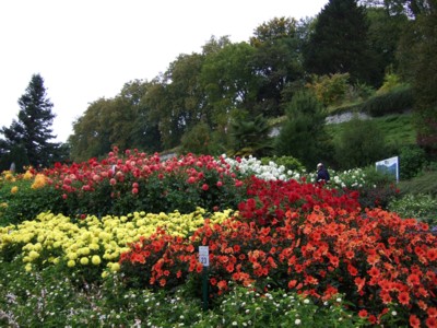 �_���A��