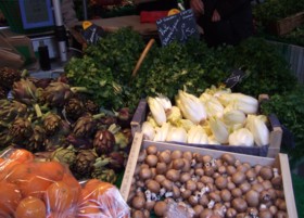 �t���[�c�T���_